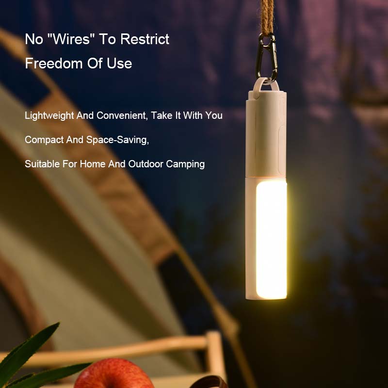 Adjustable brightness LED night light