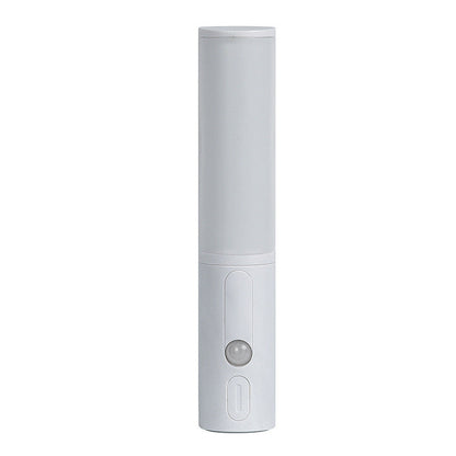 Motion sensor LED night light for home use